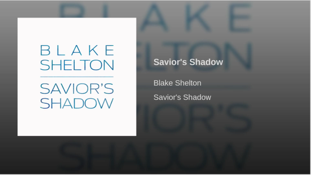 Savior's Shadow 
